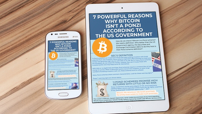 7 Powerful Reasons Why Bitcoin Isn't a Ponzi According to the US Government