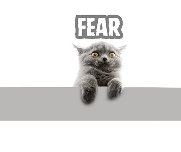 FEAR