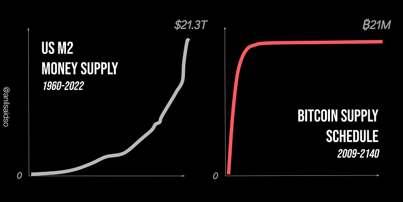 USD vs BTC Money Supply